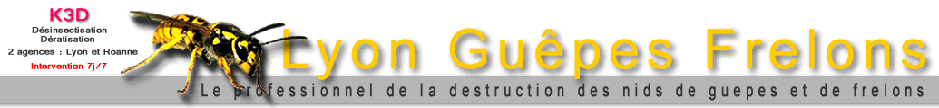Guêpes, Frelons, Abeilles